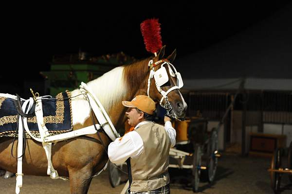 WEG1-9-22-10-Miramar_0166-DDeRosaPhoto.jpg