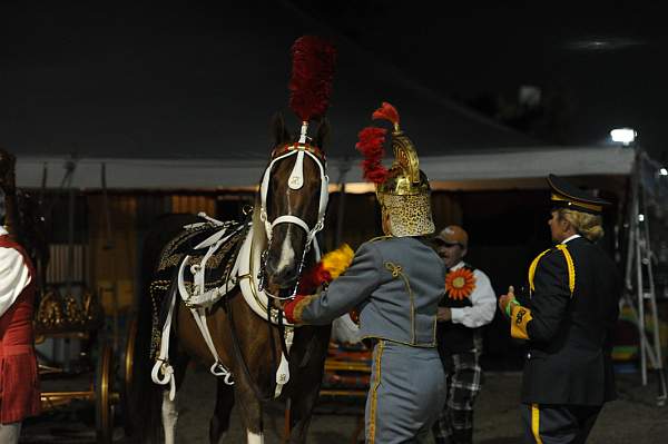 WEG1-9-22-10-Miramar_0169-DDeRosaPhoto.jpg