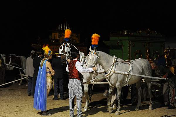 WEG1-9-22-10-Miramar_0181-DDeRosaPhoto.jpg