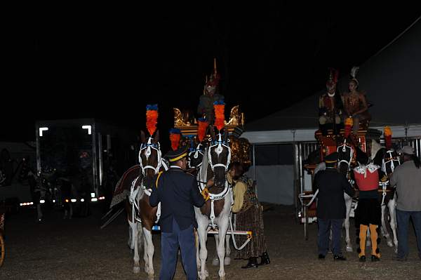 WEG1-9-22-10-Miramar_0198-DDeRosaPhoto.jpg