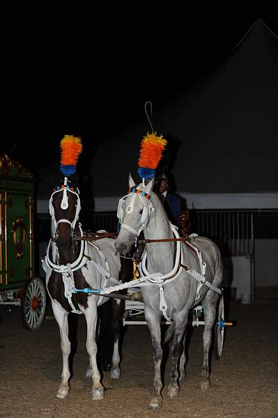 WEG1-9-22-10-Miramar_0203-DDeRosaPhoto.jpg