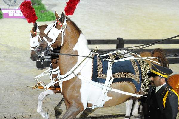 WEG1-9-22-10-Miramar_0278-DDeRosaPhoto.jpg