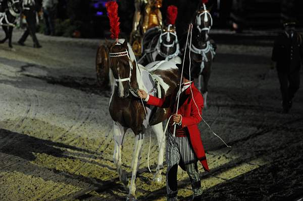 WEG1-9-22-10-Miramar_0319-DDeRosaPhoto.jpg