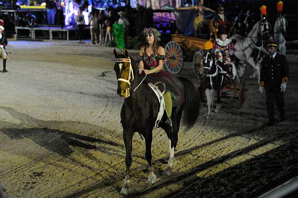 WEG1-9-22-10-Miramar_0329-DDeRosaPhoto.jpg