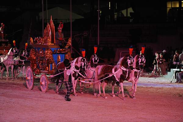 WEG1-9-22-10-Miramar_0340-DDeRosaPhoto.jpg