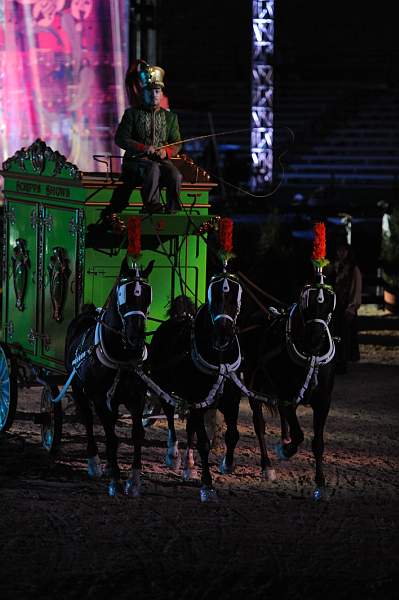 WEG1-9-22-10-Miramar_0358-DDeRosaPhoto.jpg