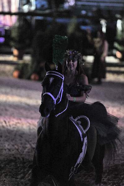 WEG1-9-22-10-Miramar_0361-DDeRosaPhoto.jpg