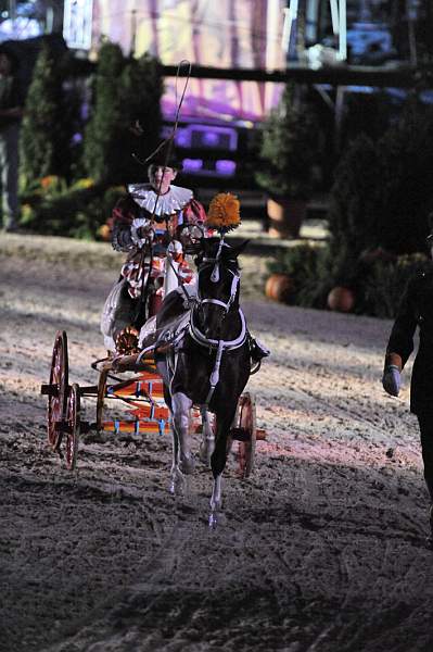WEG1-9-22-10-Miramar_0362-DDeRosaPhoto.jpg