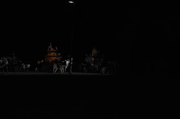 WEG1-9-22-10-Miramar_0409-DDeRosaPhoto.jpg