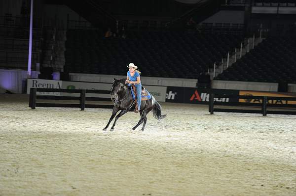 WEG1-9-22-10-Miramar_0227-DDeRosaPhoto.jpg