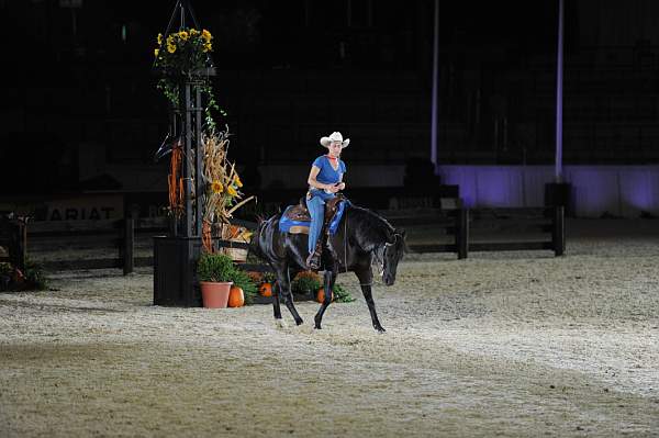 WEG1-9-22-10-Miramar_0229-DDeRosaPhoto.jpg