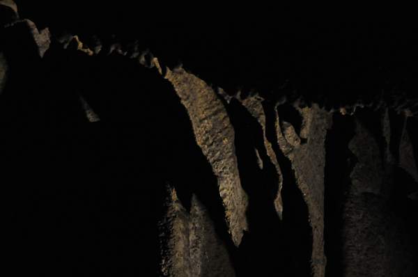 WEG1-9-23-10-Tour_0450-DDeRosaPhoto.jpg