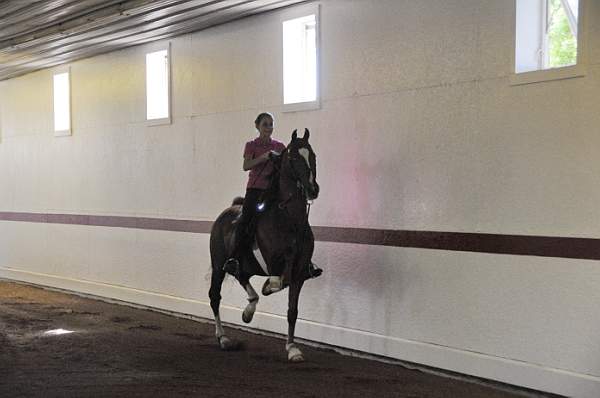 WEG1-9-24-10-Tour_0793-DDeRosaPhoto.jpg