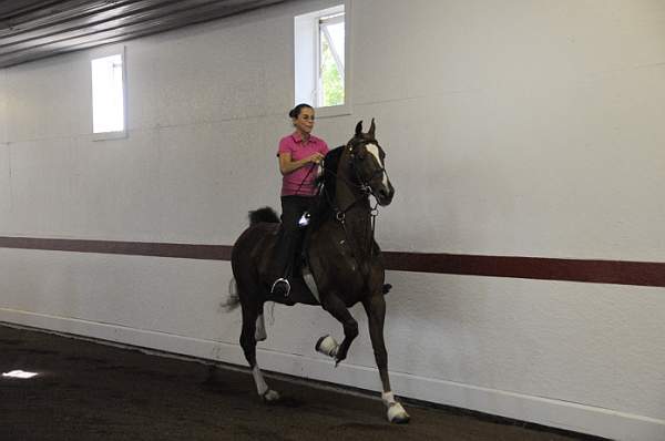 WEG1-9-24-10-Tour_0797-DDeRosaPhoto.jpg