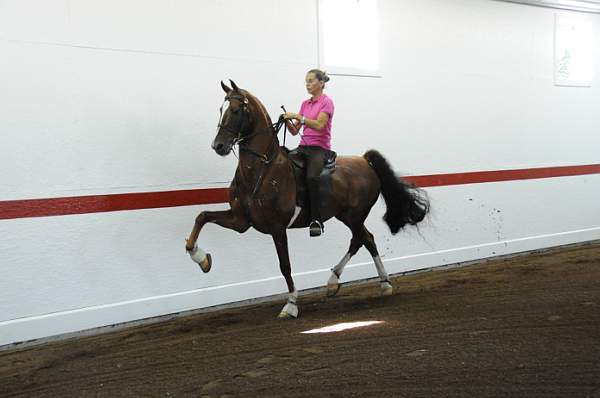 WEG1-9-24-10-Tour_0806-DDeRosaPhoto.jpg