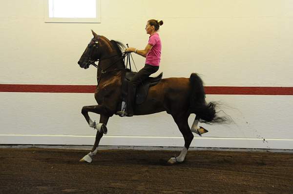 WEG1-9-24-10-Tour_0808-DDeRosaPhoto.jpg