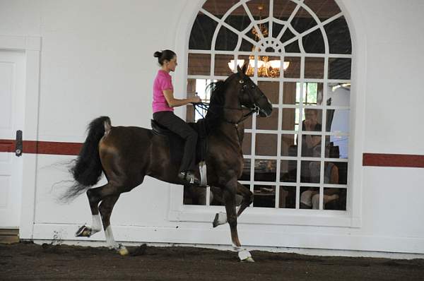 WEG1-9-24-10-Tour_0813-DDeRosaPhoto.jpg