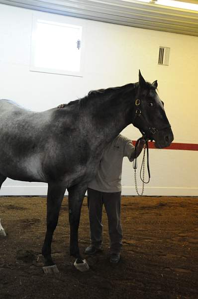WEG1-9-24-10-Tour_0823-DDeRosaPhoto.jpg