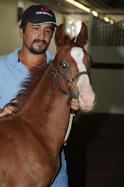 WEG1-9-24-10-Tour_0825-DDeRosaPhoto.jpg