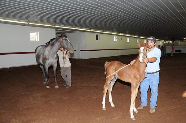 WEG1-9-24-10-Tour_0832-DDeRosaPhoto.jpg