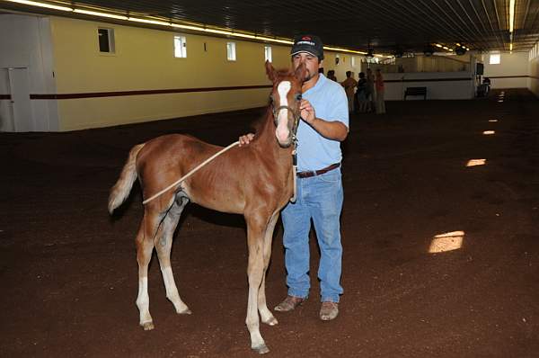 WEG1-9-24-10-Tour_0833-DDeRosaPhoto.jpg
