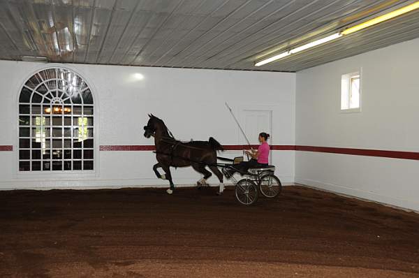 WEG1-9-24-10-Tour_0835-DDeRosaPhoto.jpg
