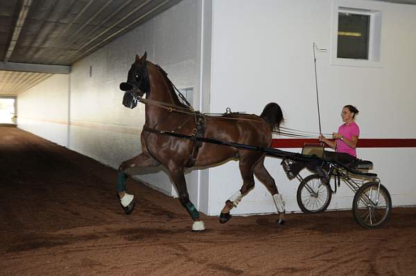WEG1-9-24-10-Tour_0837-DDeRosaPhoto.jpg