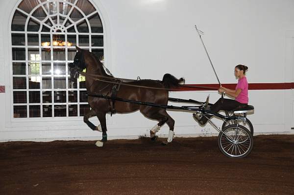 WEG1-9-24-10-Tour_0839-DDeRosaPhoto.jpg