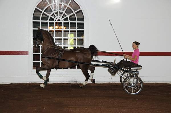 WEG1-9-24-10-Tour_0840-DDeRosaPhoto.jpg