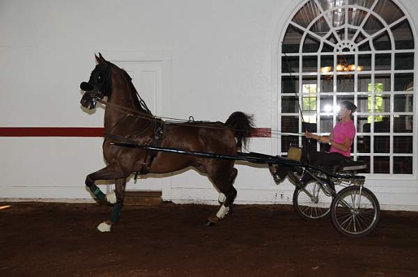 WEG1-9-24-10-Tour_0842-DDeRosaPhoto.jpg