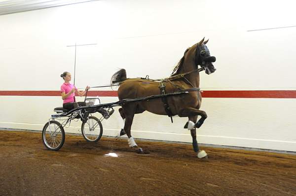 WEG1-9-24-10-Tour_0843-DDeRosaPhoto.jpg