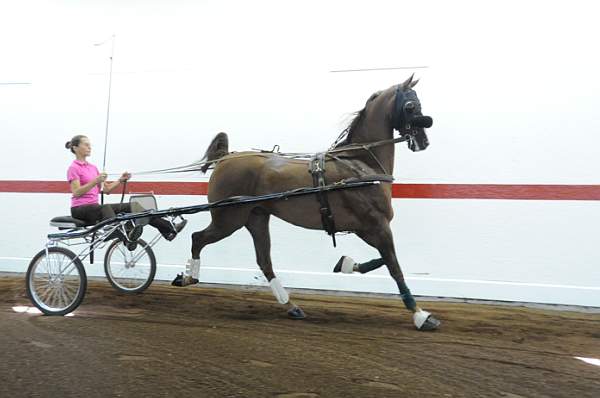WEG1-9-24-10-Tour_0844-DDeRosaPhoto.jpg