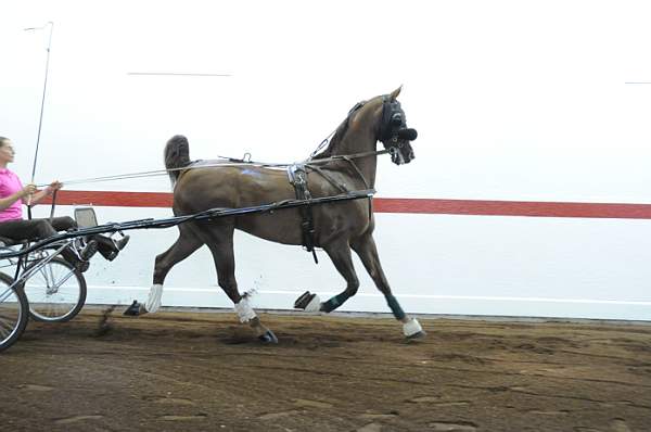 WEG1-9-24-10-Tour_0845-DDeRosaPhoto.jpg