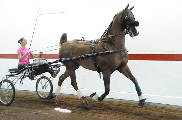 WEG1-9-24-10-Tour_0852-DDeRosaPhoto.jpg
