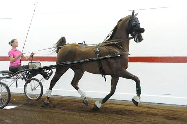 WEG1-9-24-10-Tour_0853-DDeRosaPhoto.jpg