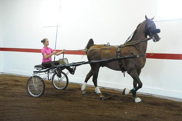 WEG1-9-24-10-Tour_0855-DDeRosaPhoto.jpg