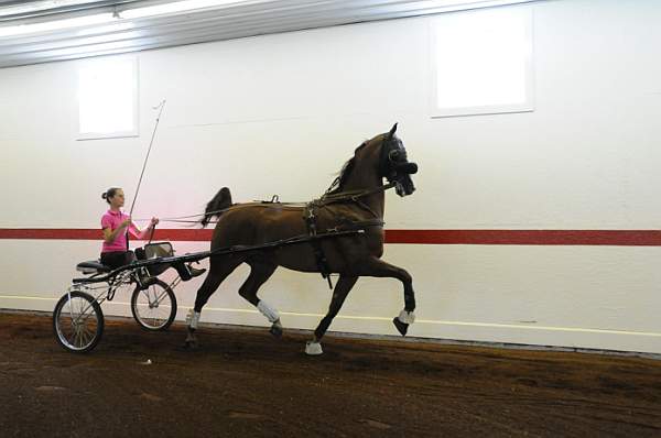WEG1-9-24-10-Tour_0858-DDeRosaPhoto.jpg