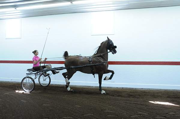WEG1-9-24-10-Tour_0859-DDeRosaPhoto.jpg