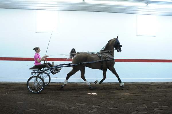 WEG1-9-24-10-Tour_0861-DDeRosaPhoto.jpg