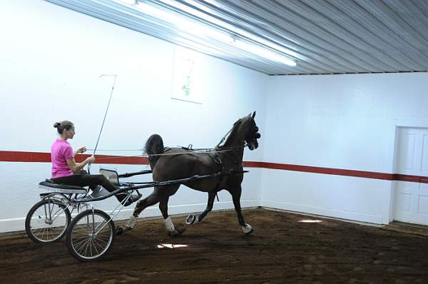 WEG1-9-24-10-Tour_0863-DDeRosaPhoto.jpg
