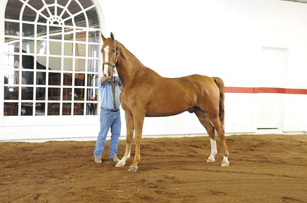 WEG1-9-24-10-Tour_0887-DDeRosaPhoto.jpg