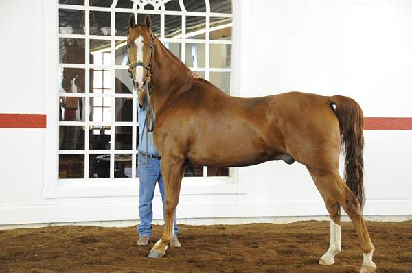 WEG1-9-24-10-Tour_0900-DDeRosaPhoto.jpg