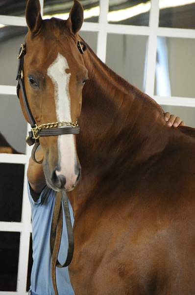 WEG1-9-24-10-Tour_0903-DDeRosaPhoto.jpg