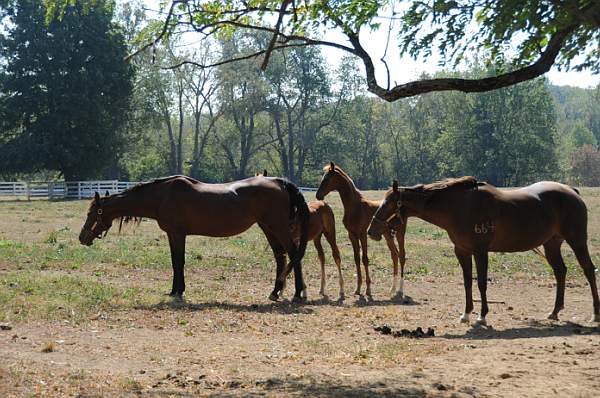 WEG1-9-24-10-Tour_0927-DDeRosaPhoto.jpg