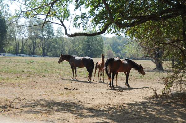 WEG1-9-24-10-Tour_0929-DDeRosaPhoto.jpg