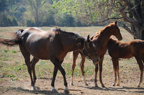 WEG1-9-24-10-Tour_0934-DDeRosaPhoto.jpg