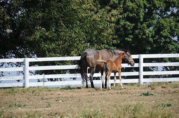 WEG1-9-24-10-Tour_0937-DDeRosaPhoto.jpg