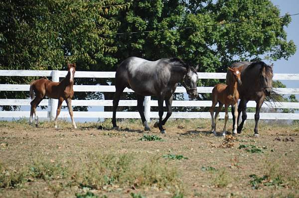 WEG1-9-24-10-Tour_0945-DDeRosaPhoto.jpg