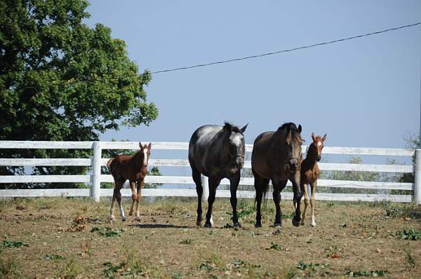 WEG1-9-24-10-Tour_0949-DDeRosaPhoto.jpg