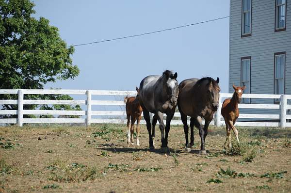 WEG1-9-24-10-Tour_0951-DDeRosaPhoto.jpg